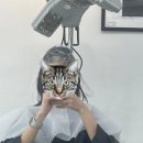 유니크 바이 합정점