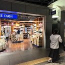 칼디커피 | 일본 텐진 커피 기념품 추천. 칼디 워터드립커피 먹는 방법 맛 후기