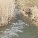 대주2농장 이미지