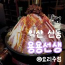 [익산 맛집] 원광대맛집 '용용선생' 화려한 비주얼의 화산 마라전골