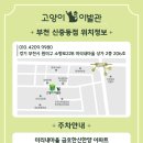 고양이이발관(부천신중동점) 이미지