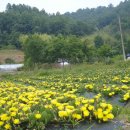 효재농장 이미지