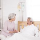 코끼리휴병원 이미지