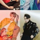 마이딩고 이미지