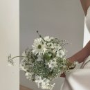 이지담 | 👩🏻‍❤️‍👨🏻2 헤어허니 스튜디오 서초 촬영후기(5월/오전)