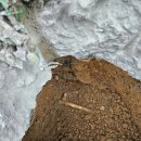 마도공단로 이미지