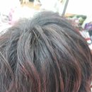 유진헤어아트 - 미추홀구 경원대로640번길 19-38 | 유진헤어아트