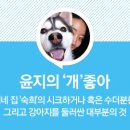 책읽는 픽토그램 이미지