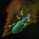 선산파크골프장 이미지