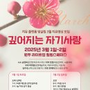 빛살림 Daum카페