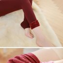 댕댕이샵 이미지