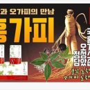 홍가