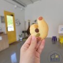 우쿨렐레 | 전남 아이와 가볼만한곳 추천 / 다양하고 소소한 체험 / 고흥 -노란소쿠리