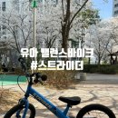 11545-10-12-14 | 유아 밸런스 바이크 스트라이더 12인치에서 14인치 내 돈 내산으로 레벨 업해 본 후기