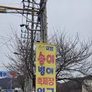 경춘낚시터 | [경기도/청평] 서울 근교 이색 겨울 놀 거리 청평 설빙 송어 빙어 축제 내 돈 내산 후기