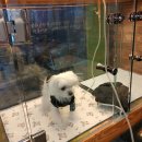 래플즈동물병원 이미지