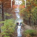 경주산림환경연구원 | 경주 천년숲정원 경북 산림환경연구원 단풍