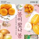 초록마을 이미지