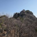계룡산 복수초 : 병사골탐방센터/장군봉/큰배재/문골/천정탐방센터 이미지