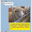 스토리양꼬치