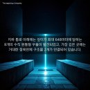 뉴욕스포츠 티스토리