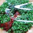 산서초교병설 이미지