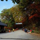 [전남 순천, 한국 100대 명산, 도립공원] 산토대와 함께한 도립공원 조계산 장군봉 (曹溪山, 해발 884m...