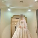 [W5.웨촬드레스셀렉] CN웨딩홀 베르테홀패키지 촬영드레스 셀렉, 진한복 촬영한복 대여후기