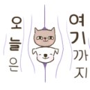 신디샵