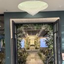 베뉴비안 이미지