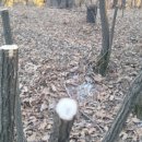 전호농장 이미지