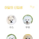 털로덮인친구들 동탄호수공원점 이미지