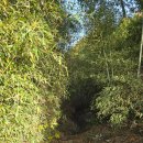 선암1리 이미지