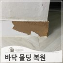 시화신동아2차 | 이빨로물어뜯은몰딩 부분 복원 수리