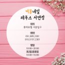 레푸스 서면점