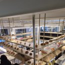 윤쉐프 정직한제빵소 | 양주 대형카페 / 천하제빵 빵집 윤쉐프정직한제빵소 내돈내산 방문후기