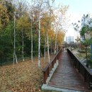 광덕산근린공원 이미지