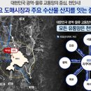 비바유통