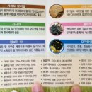 올레청보리민박 이미지