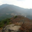 정령치로(60호선) Daum카페