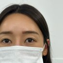 남울산세무회계 | 울산 남구 달동 속눈썹 펌 지니로와뷰티&브로우 추천