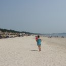 우전해수욕장 Daum카페