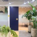 강남-213 이미지