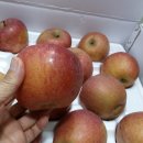 용현농장 이미지