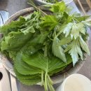 남천내 | [공주] 동학사 남천내집 고추장 숯불구이 내돈내산 후기