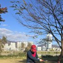 용인대 석사 서울시 대표 태권도 이미지