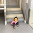 강원특별자치도 영월군 영월군종합사회복지관 이미지