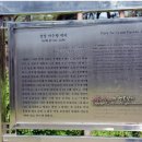 장성군청 광장 이미지