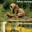 결혼전과 후 이미지