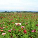 물돌이농장 이미지